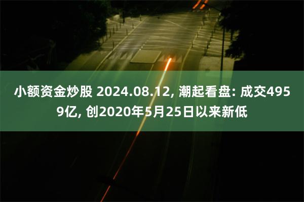 小额资金炒股 2024.08.12, 潮起看盘: 成交4959亿, 创2020年5月25日以来新低