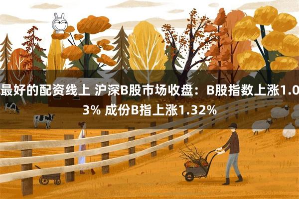 最好的配资线上 沪深B股市场收盘：B股指数上涨1.03% 成份B指上涨1.32%