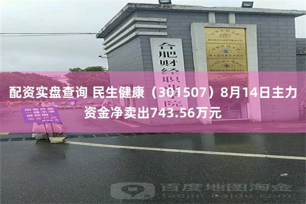 配资实盘查询 民生健康（301507）8月14日主力资金净卖出743.56万元