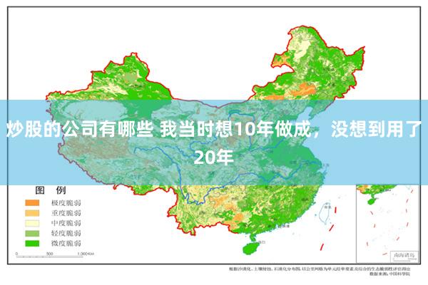 炒股的公司有哪些 我当时想10年做成，没想到用了20年