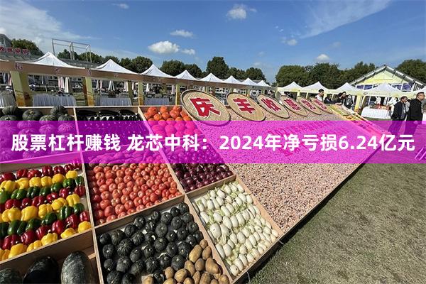 股票杠杆赚钱 龙芯中科：2024年净亏损6.24亿元